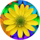 vanessa di chio vanessa di chio