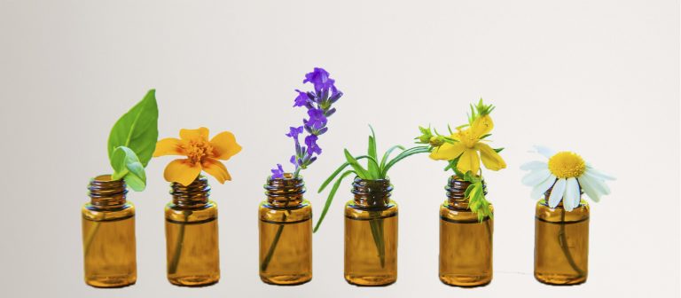 Flores de Bach: Un Camino Natural hacia el Equilibrio Emocional