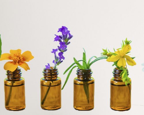 Bach flowers flores de bach